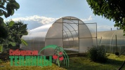 Теплица сверхпрочная Сибирская XXL 4 метра (ТРУБА 40х20, шаг 0,67)